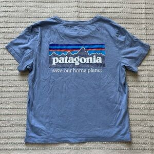 Patagonia Organic cotton t-shirt